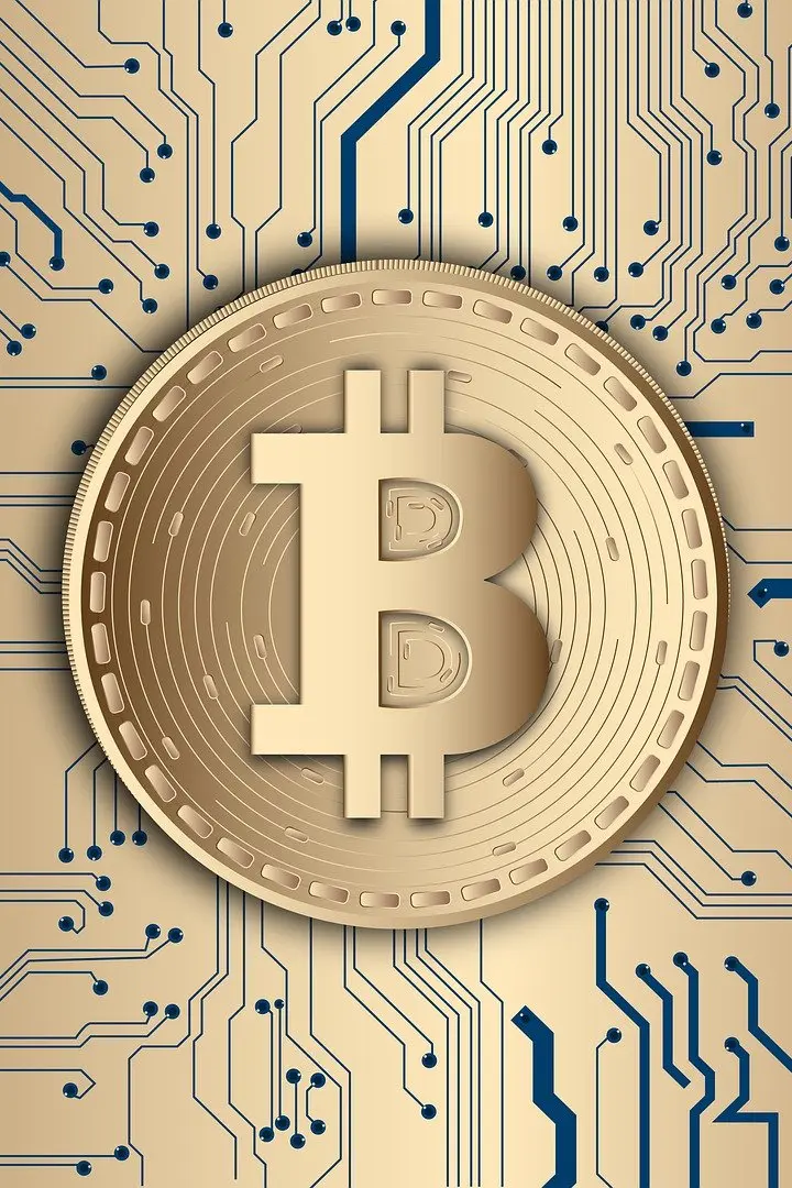 Decentralized Digital Currencies