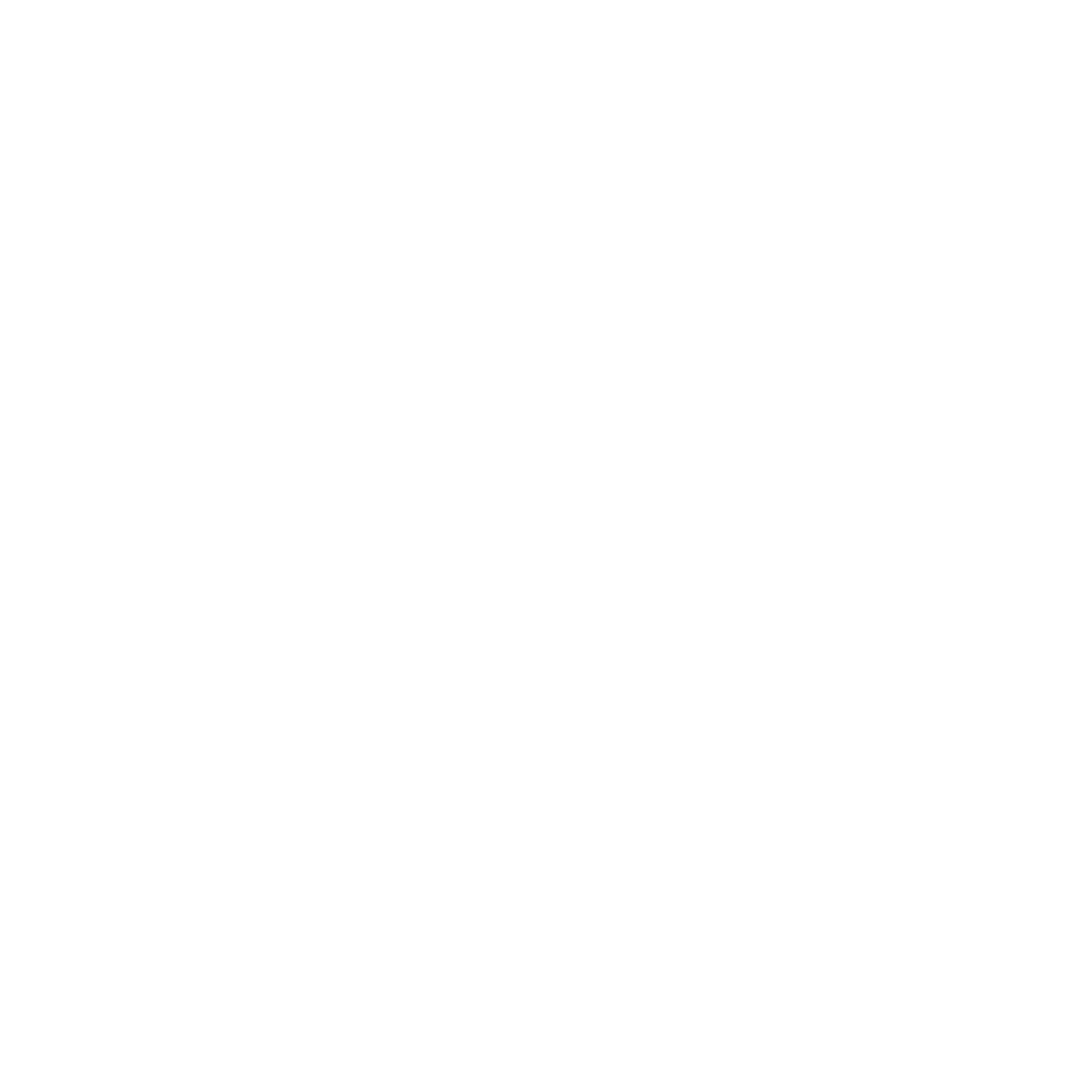 Transfer speed